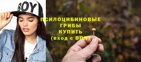 гашик Шадринск