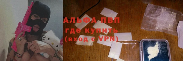 гашик Шадринск