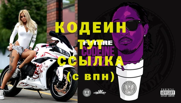 гашик Шадринск