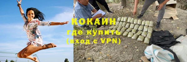 гашик Шадринск