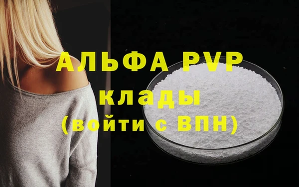 гашик Шадринск