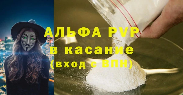гашик Шадринск